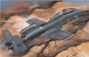 US Air Force A-10A N/AW Thunderbolt 2-seat Attack Aircraft