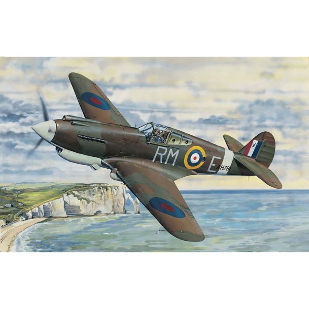 British Royal Air Force P-40B Warhawk (Tomahawk Mk IIA) Aircraft