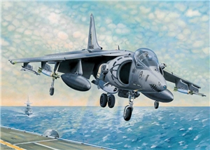 US Marine Corps AV-8B Harrier II Ground-Attack Aircraft