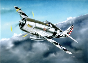 USAAF P-47D Thunderbolt Razorback Fighter Aircraft