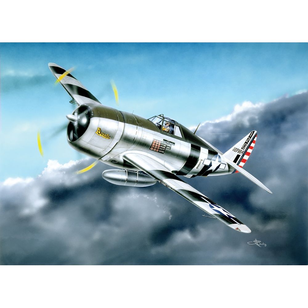 USAAF P-47D Thunderbolt Razorback Fighter Aircraft
