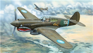 USAAF P-40E Warhawk Fighter Aircraft