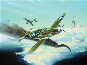 USAAF P-51B Mustang III Fighter Aircraft