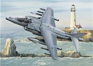 PKTM02287 Harrier GR7 RAF