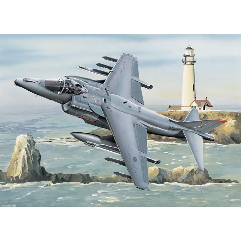 British Royal Air Force Harrier GR7 Ground-Attack Aircraft