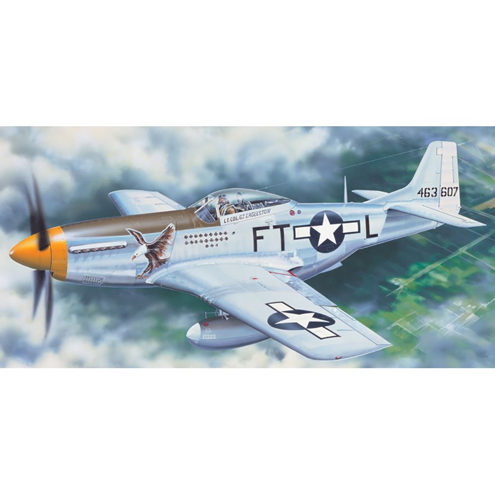 USAAF P-51D Mustang IV Fighter Aircraft