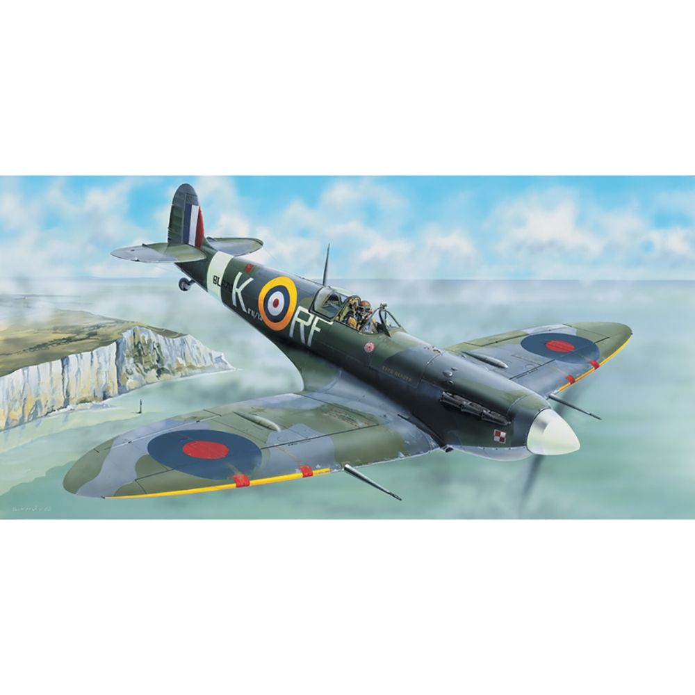 British Royal Air Force Spitfire Mk Vb Fighter Aircraft