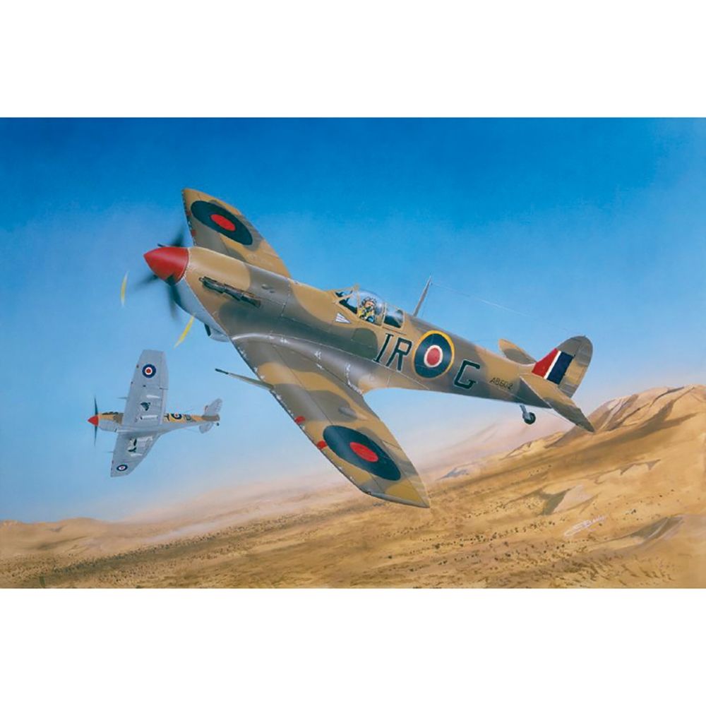 British Royal Air Force Spitfire Mk Vb/Tropical Fighter Aircraft