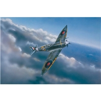 Spitfire Mk VI