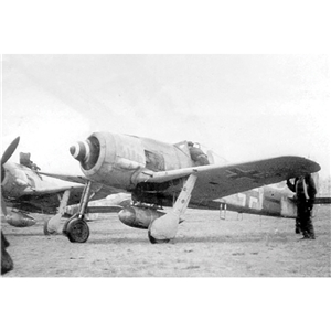PKTM02419 Fw 190A-6/8