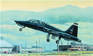 US Air Force T-38A Talon Jet Trainer Aircraft