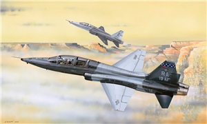 US Air Force T-38C Talon Jet Trainer Aircraft