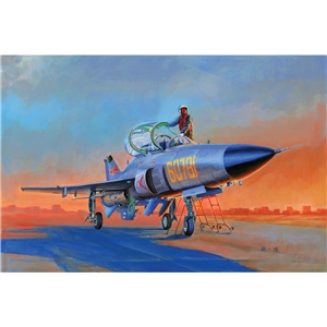 Chinese Air Force PLA JL-9 Plateau Eagle Jet Trainer Aircraft