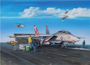 US Navy F-14A Tomcat Fighter Aircraft