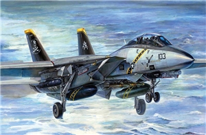 US Navy F-14B Tomcat (Bombcat) Fighter Aircraft