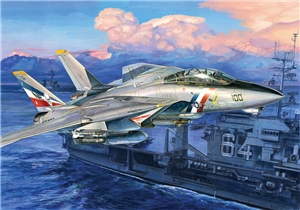 PKTM03203 F-14D Super Tomcat
