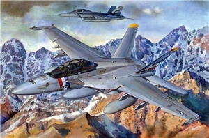 US Navy F/A-18F Super Hornet Fighter Aircraft
