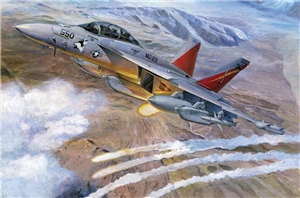 US Navy EA-18G Growler Electronic Warfare Aircraft