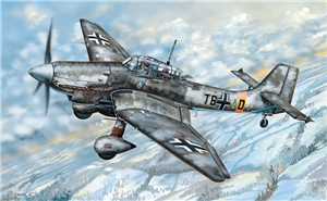 German Air Force Junkers Ju-87D Stuka Bomber Aircraft