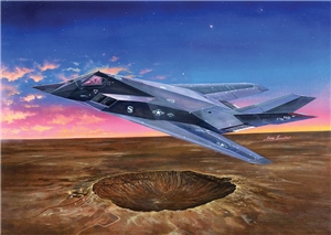 PKTM03219 F-117A Nighthawk