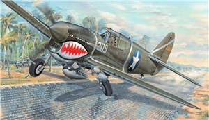 USAAF P-40F Warhawk Fighter Aircraft