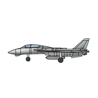 F-14A Tomcat (qty 12)