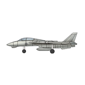 F-14B/D Tomcat (qty 12)