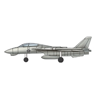 F-14B/D Tomcat (qty 6)