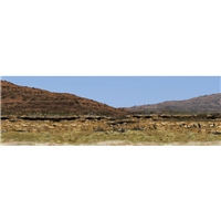 Rorke's Drift: View Behind the Mission Station Backdrop 60" x 19"