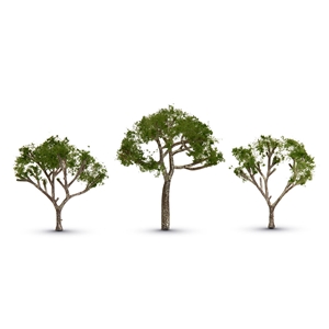 TR3525 Gum Tree 2 1/2” – 3 1/2”