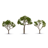 Gum Tree 2 1/2” – 3 1/2”