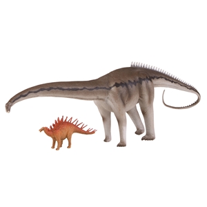 TW29109 Natural History Museum Diplodocus & Kentrosaurus