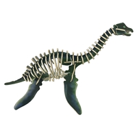 Plesiosaurus 3D Wooden Puzzle