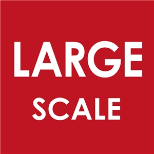Large Scale