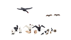 HO Ducks and Swans