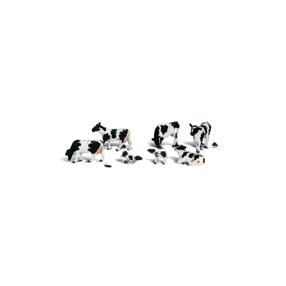 N Holstein Cows