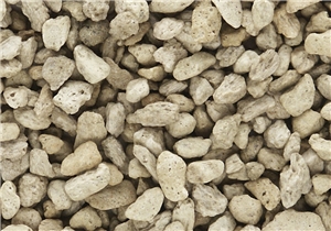 WC1272 Coarse Buff Talus