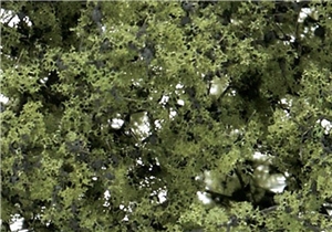 WF1128 Light Green Shrubs & Saplings