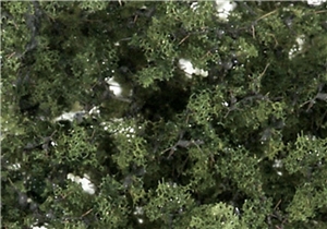 WF1129 Medium Green Shrubs & Saplings