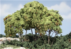 Light Green Forest Canopy
