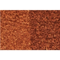 Late Fall Mix Foliage