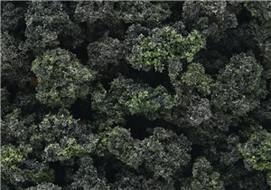 WFC149 Forest Blend Bushes (Bag)