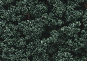 WFC1647 Dark Green Bushes (Shaker)
