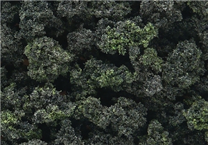 WFC1649 Forest Blend Bushes (Shaker)