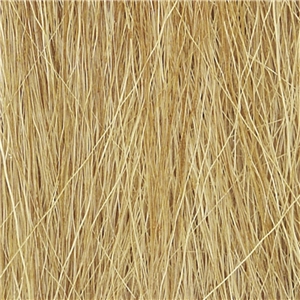 WFG172 Harvest Gold Field Grass