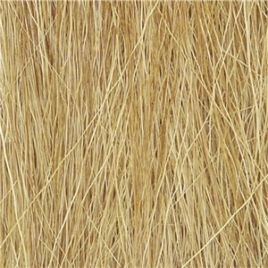 Harvest Gold Field Grass