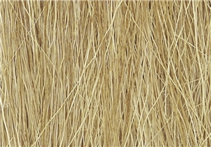 WFG172 Harvest Gold Field Grass