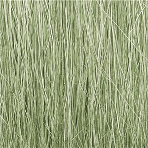 Light Green Field Grass