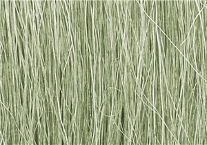 WFG173 Light Green Field Grass