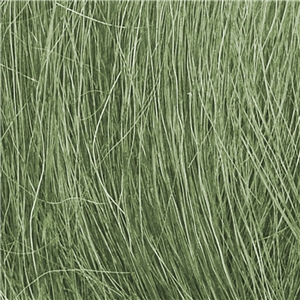 WFG174 Medium Green Field Grass